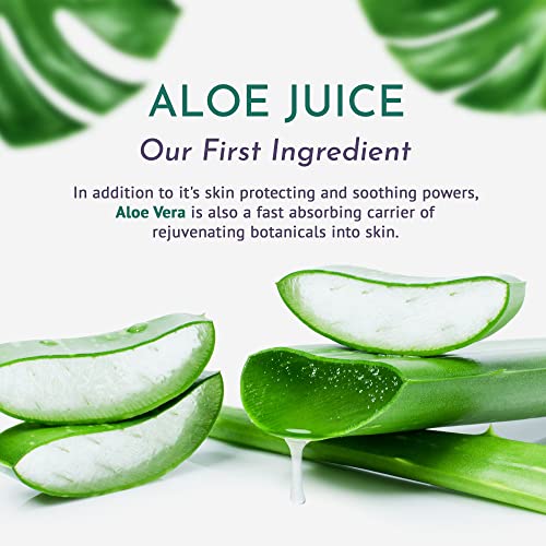 One Step Natural Face Cleanser - Exfoliating, Hydrating & Toning Ayurvedic Cream Cleanser  
One Step Natural Face Cleans